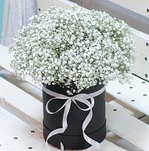 Цветочная композиция из Гипсофила в шляпной коробке #REPLACE_PRED# Целине