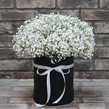 Цветочная композиция из Гипсофила в шляпной коробке в Целине